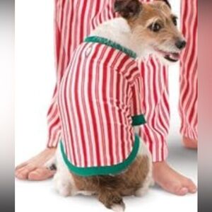 Pajamagram pet’s onesie pajama matching christmas